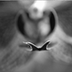 Image for article titled Shooting Challenge Gallery: 100 3